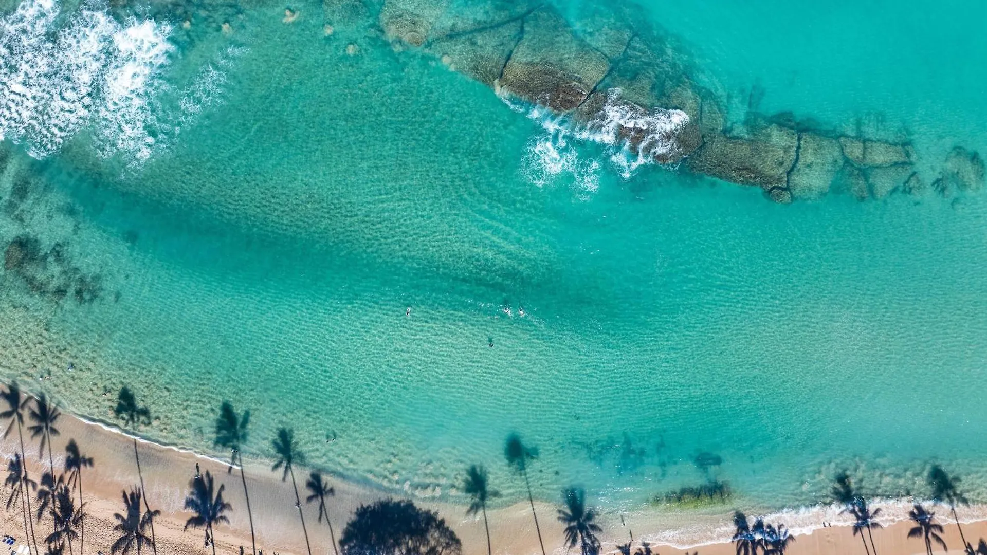 Napili Shores D227 Kahana Apartamento